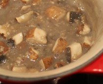 Mushroom Porridge (9m+)